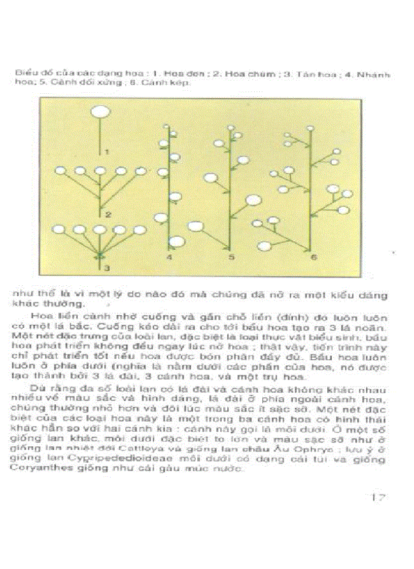 image for page Kỹ thuật nuôi trồng cấy Lan