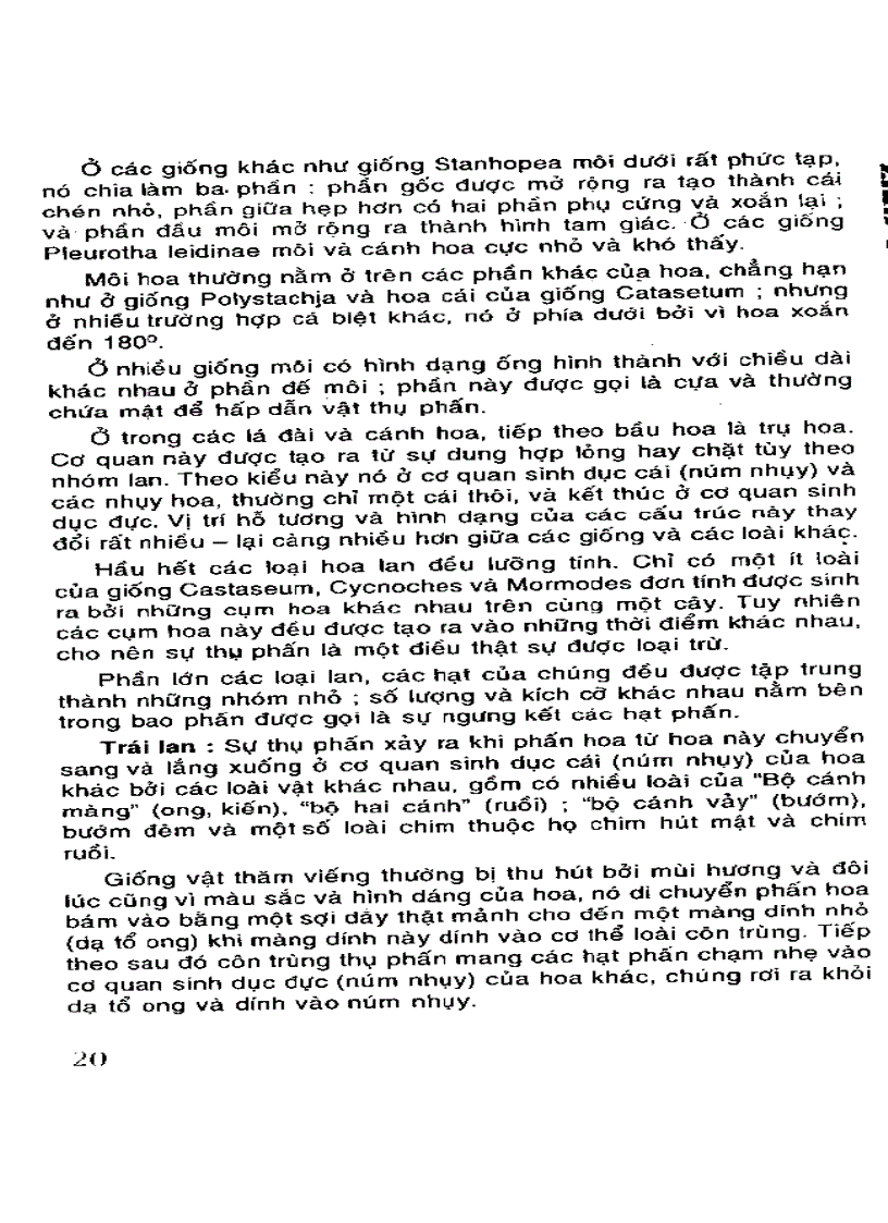 image for page Kỹ thuật nuôi trồng cấy Lan