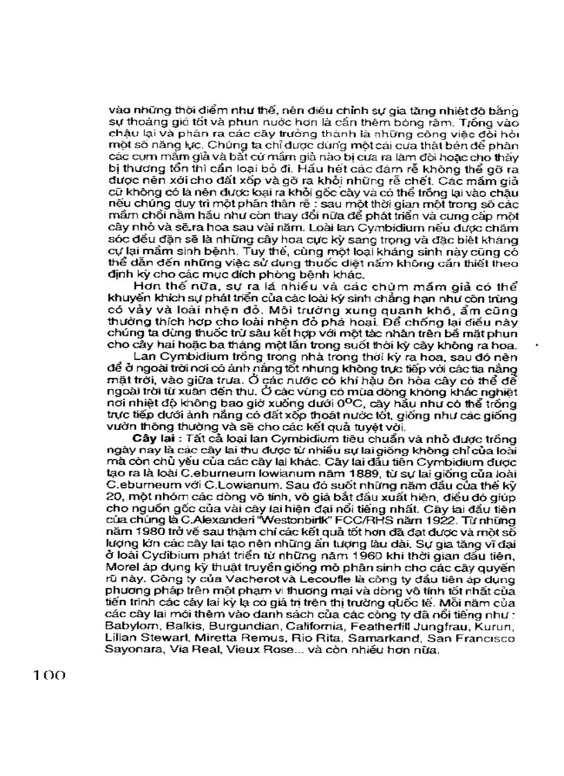 image for page Kỹ thuật nuôi trồng cấy Lan