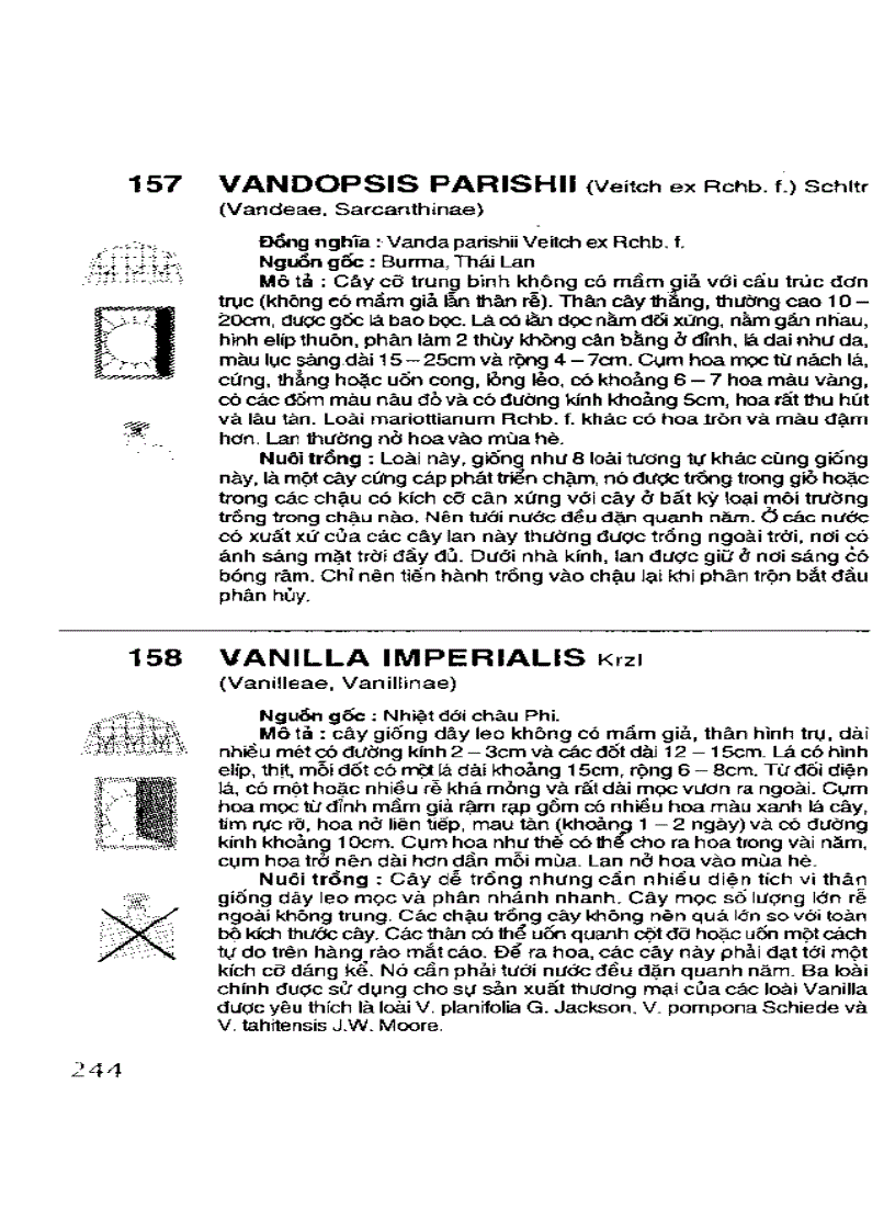 image for page Kỹ thuật nuôi trồng cấy Lan
