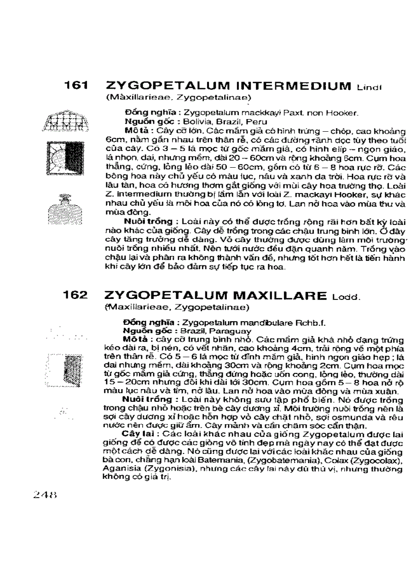 image for page Kỹ thuật nuôi trồng cấy Lan