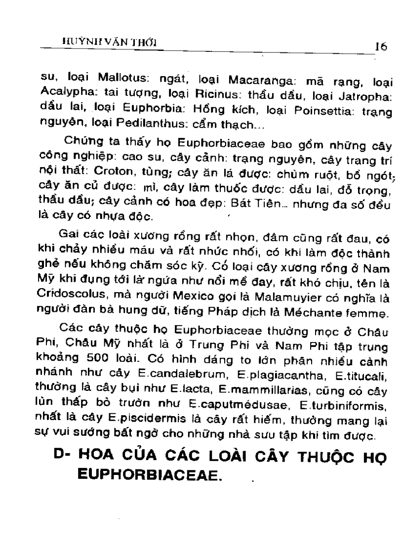image for page Kỹ thuật trồng