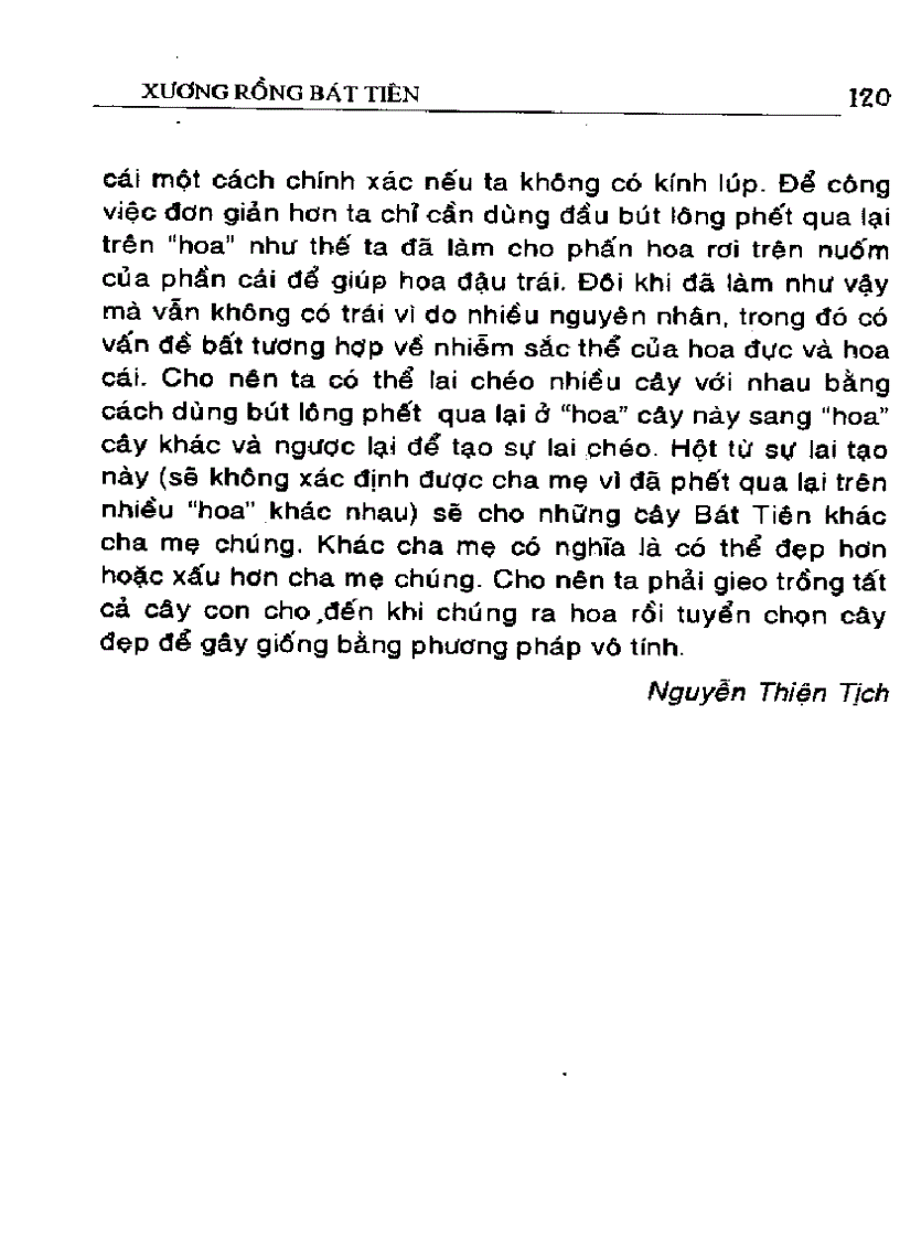 image for page Kỹ thuật trồng