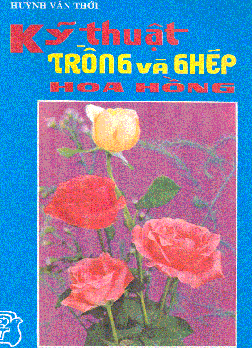 image for page Kỹ thuật trồng và ghép Hoa Hồng