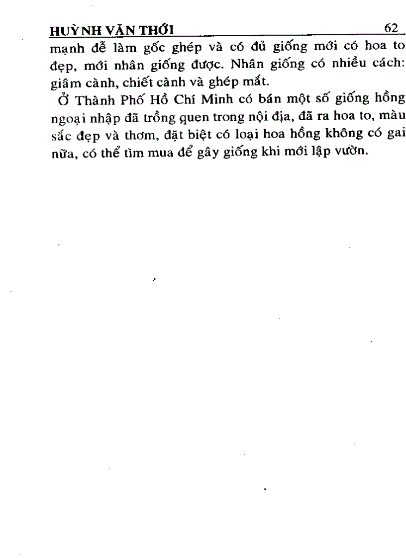 image for page Kỹ thuật trồng và ghép Hoa Hồng
