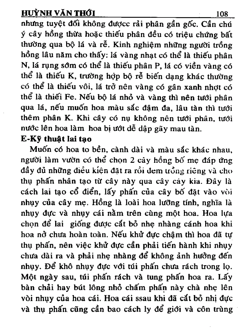 image for page Kỹ thuật trồng và ghép Hoa Hồng