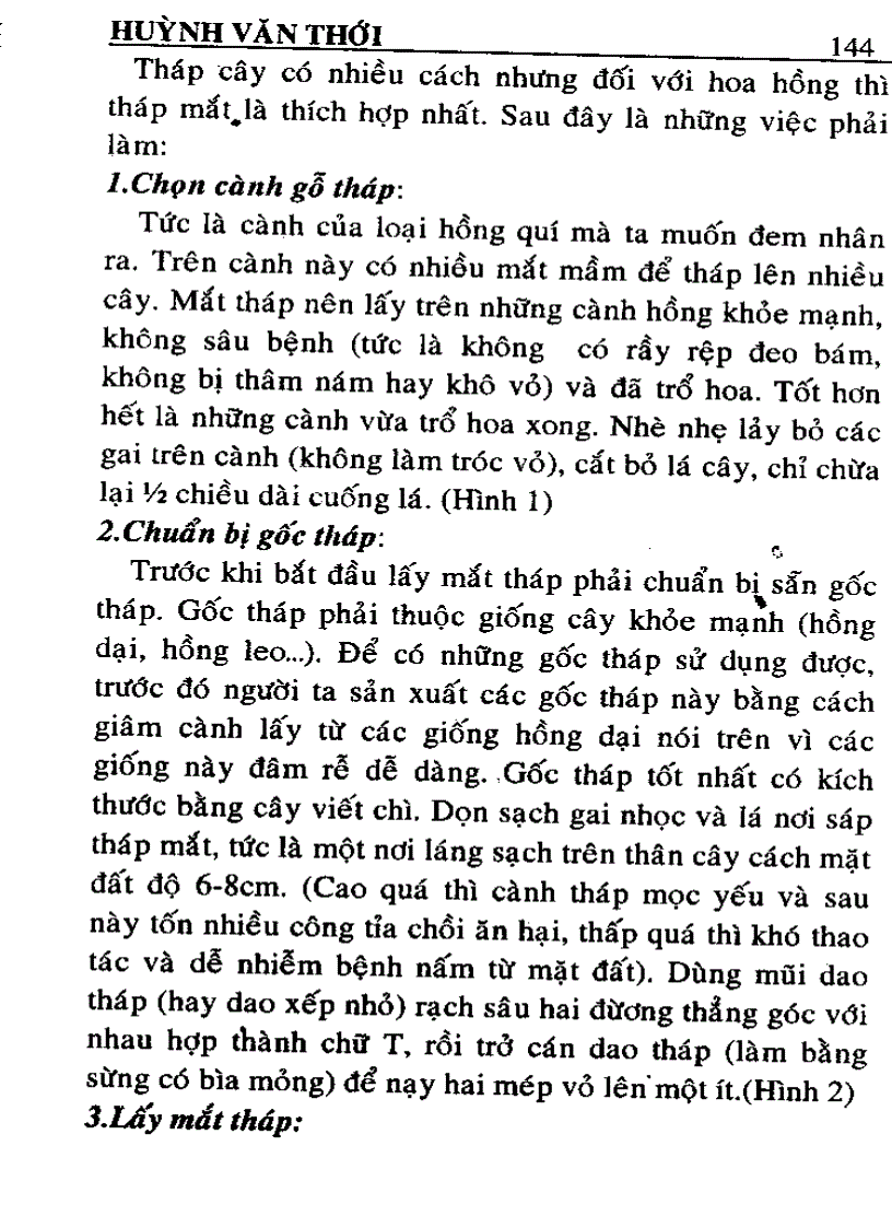 image for page Kỹ thuật trồng và ghép Hoa Hồng