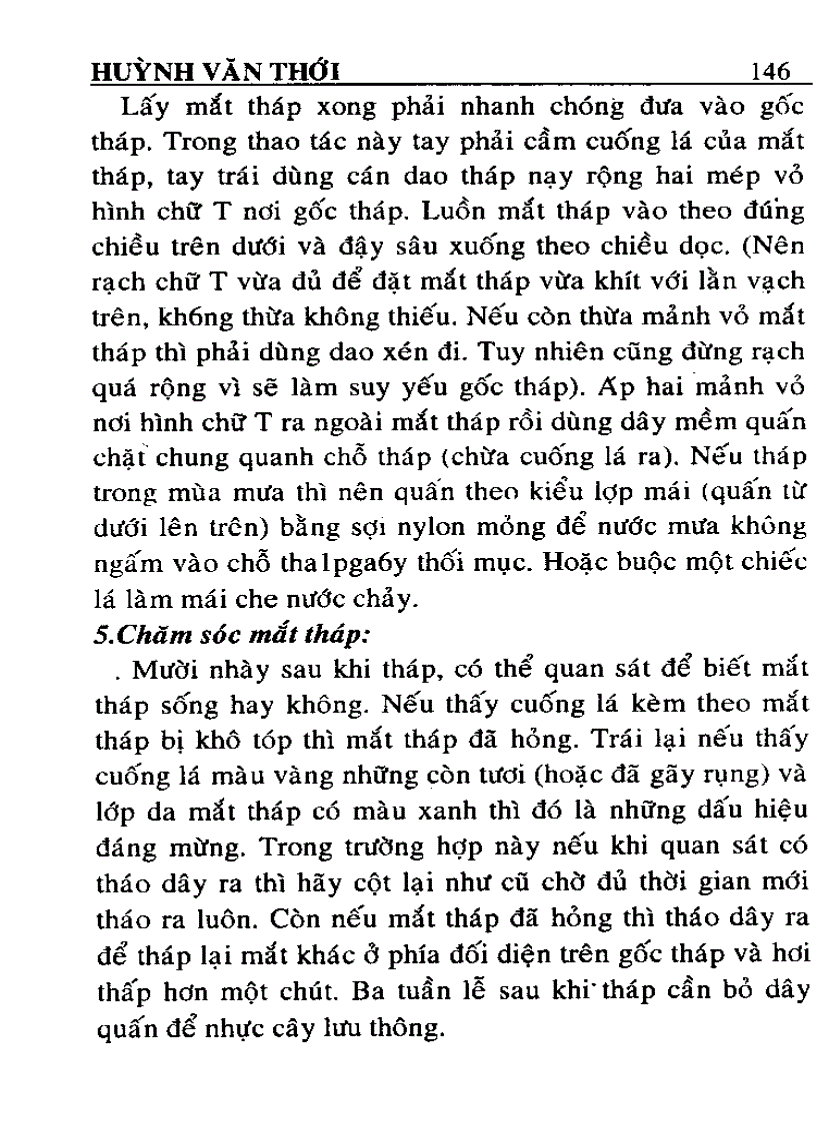 image for page Kỹ thuật trồng và ghép Hoa Hồng