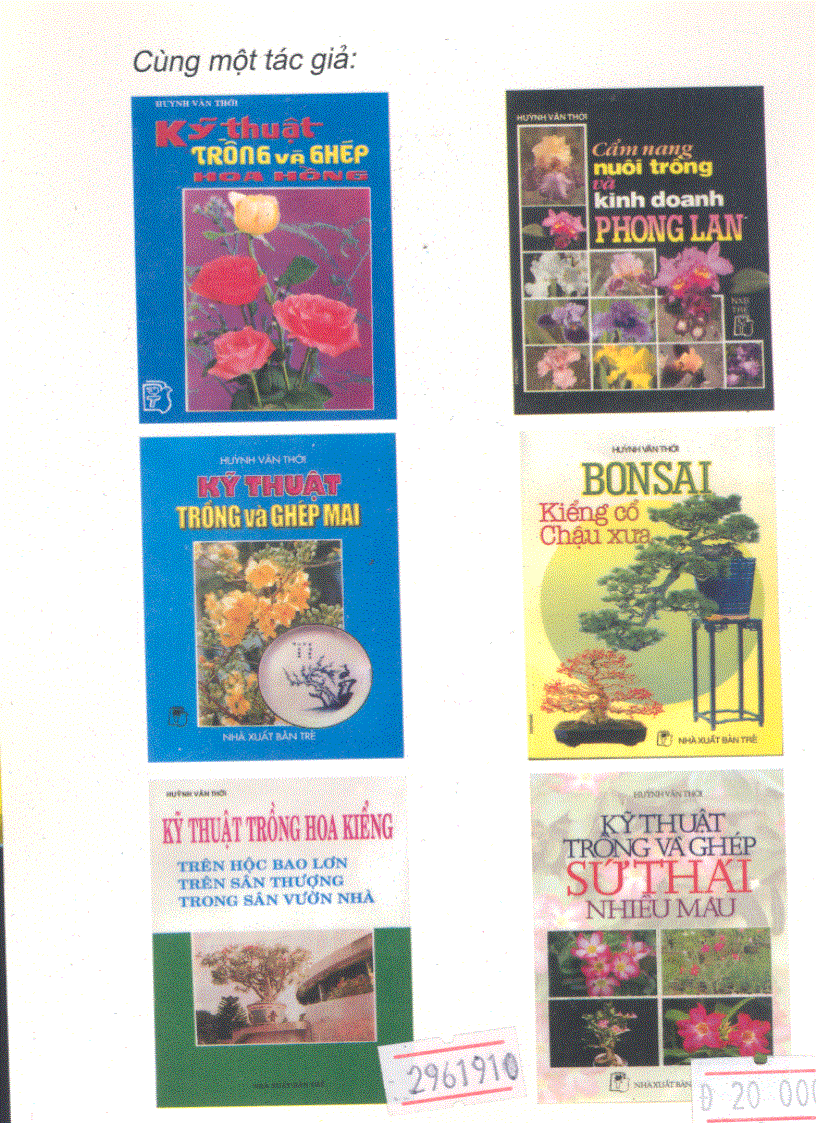 image for page Kỹ thuật trồng và ghép Hoa Hồng