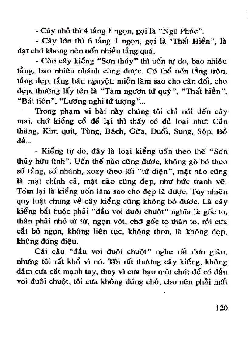 image for page Kỹ thuật trồng và ghép Mai