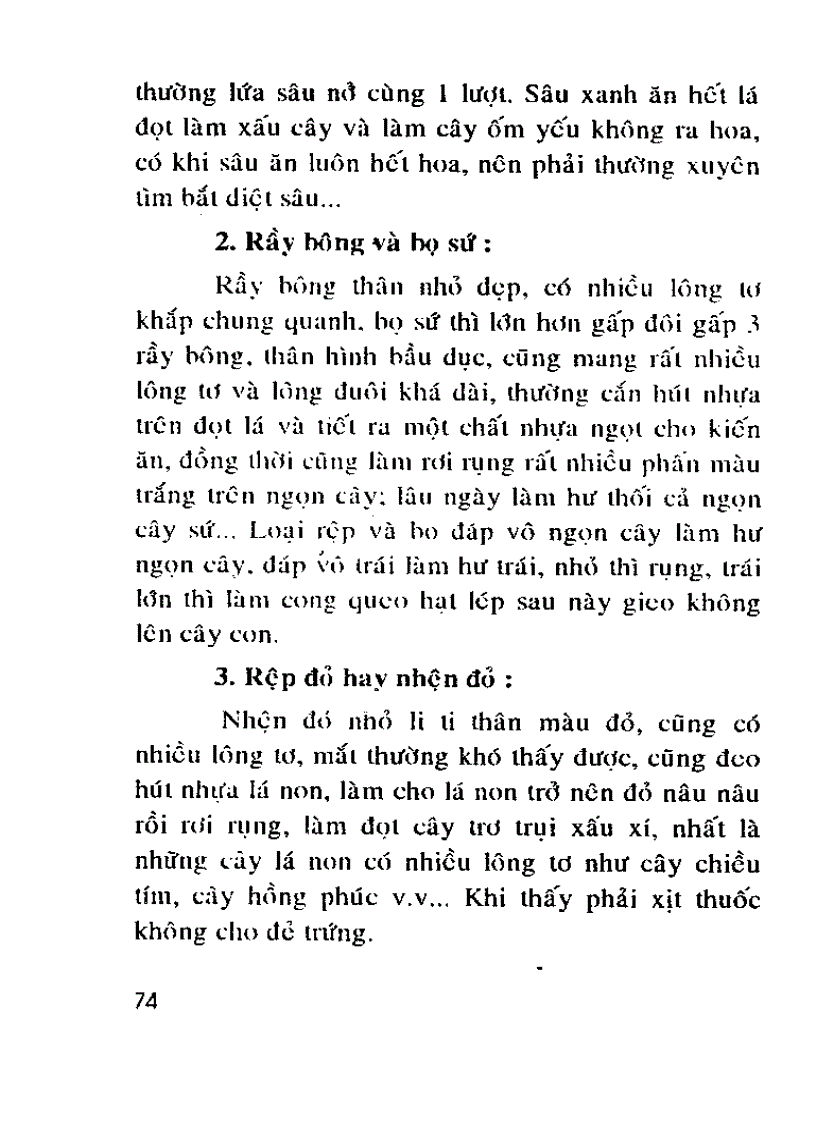 image for page Kỹ thuật trồng và ghép Sứ Thái nhiều màu