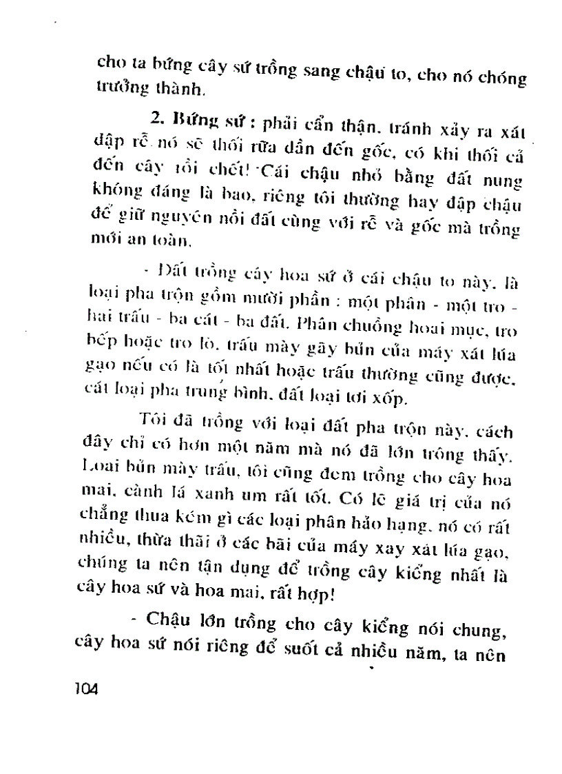 image for page Kỹ thuật trồng và ghép Sứ Thái nhiều màu