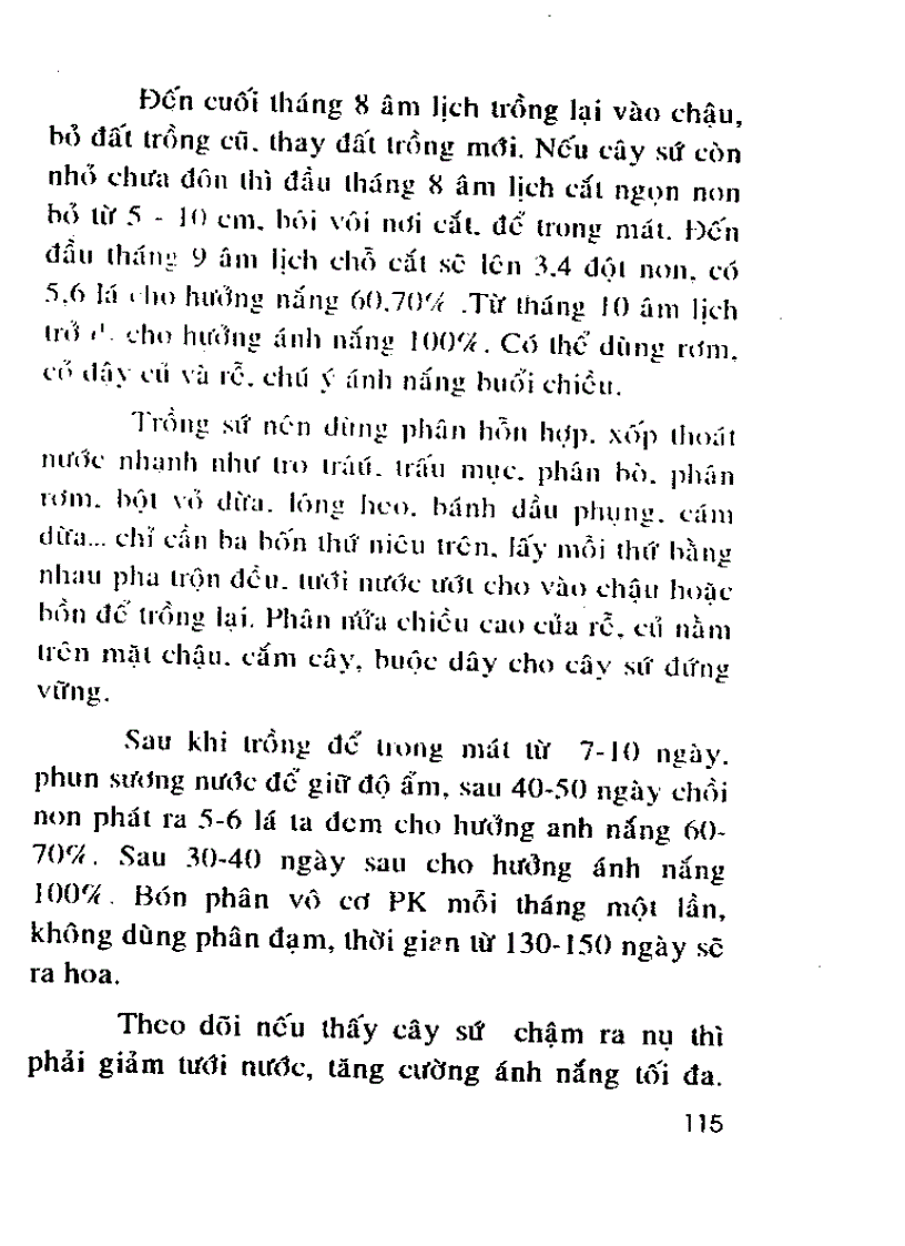 image for page Kỹ thuật trồng và ghép Sứ Thái nhiều màu