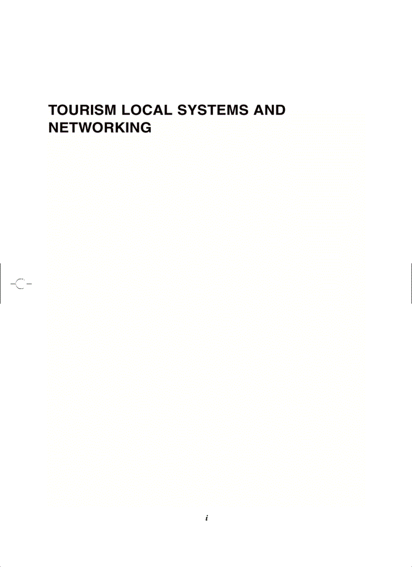 Tourism Local Systems and Networking Advances in Tourism Research