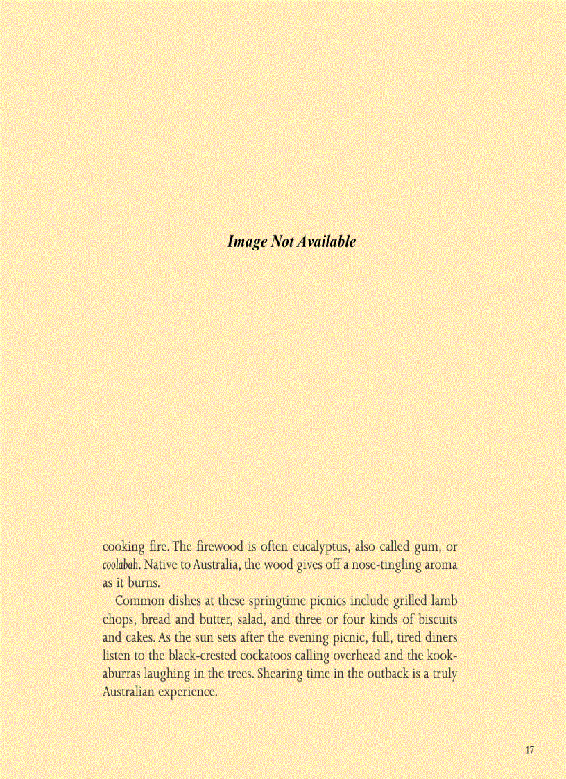 image for page Cooking The Australian Way