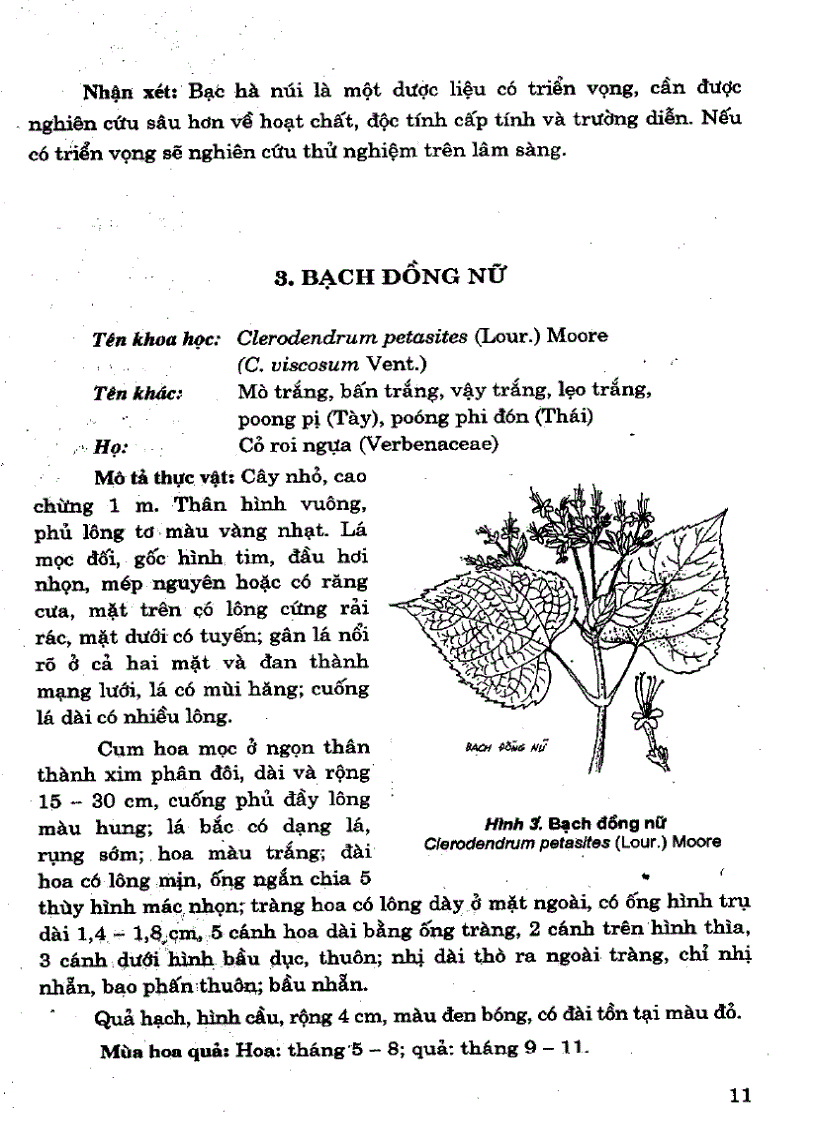 image for page 101 Cây thuốc với sức khỏe sinh sản phụ nữ