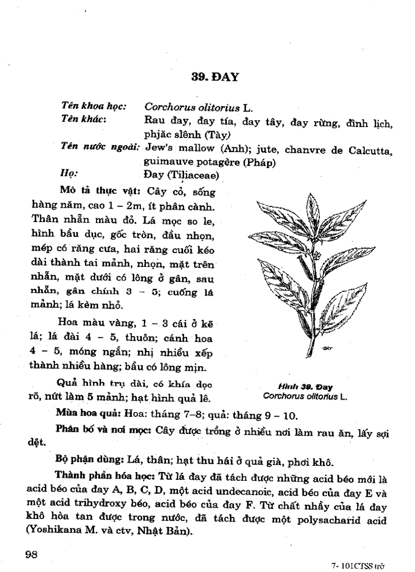 image for page 101 Cây thuốc với sức khỏe sinh sản phụ nữ