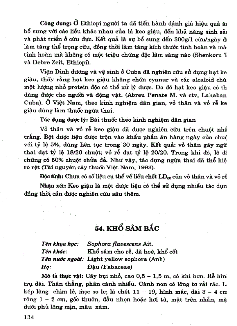 image for page 101 Cây thuốc với sức khỏe sinh sản phụ nữ