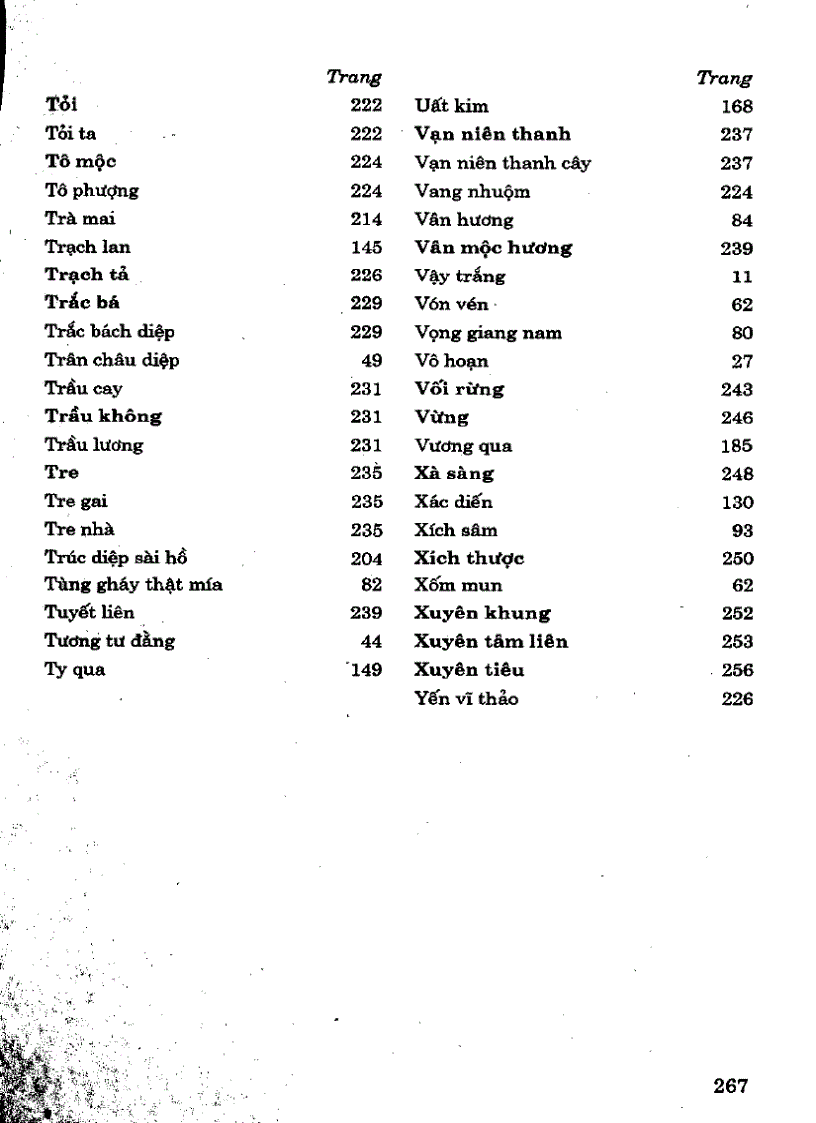 image for page 101 Cây thuốc với sức khỏe sinh sản phụ nữ
