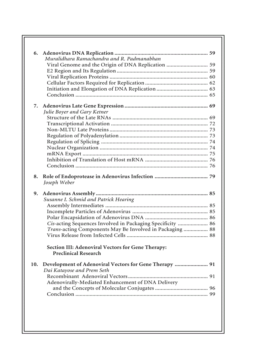 image for page Adenoviruses Basic Biology to Gene Therapy