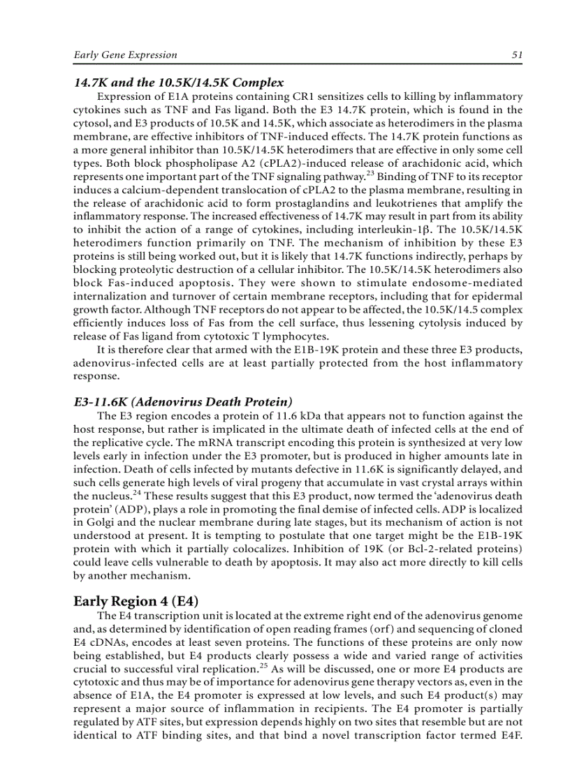 image for page Adenoviruses Basic Biology to Gene Therapy