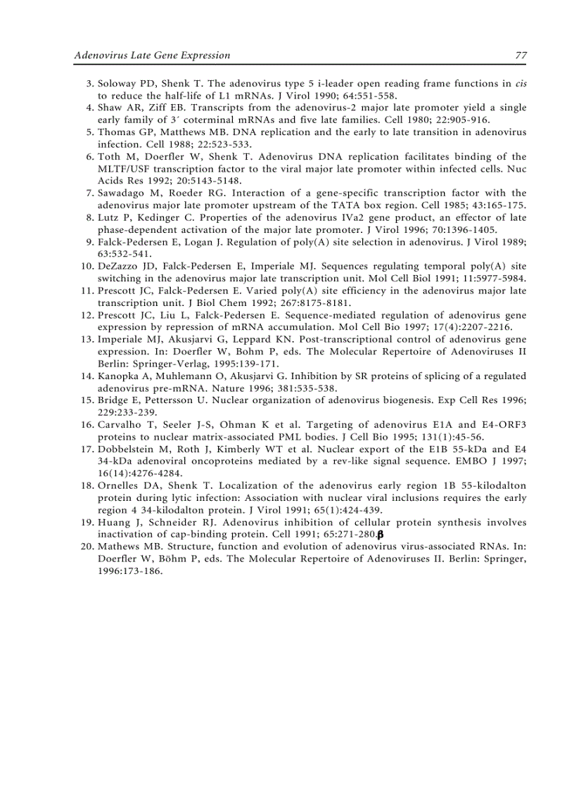 image for page Adenoviruses Basic Biology to Gene Therapy