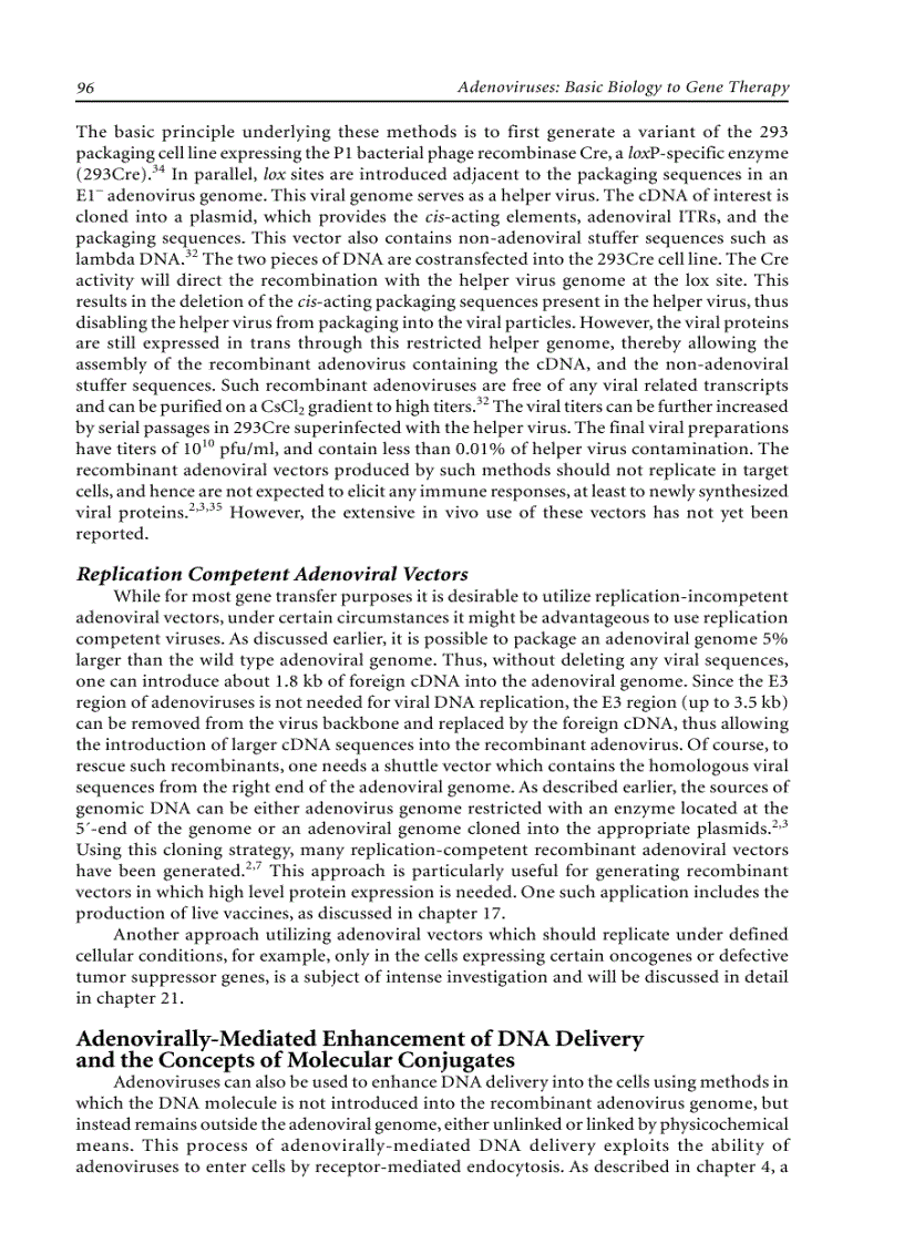 image for page Adenoviruses Basic Biology to Gene Therapy