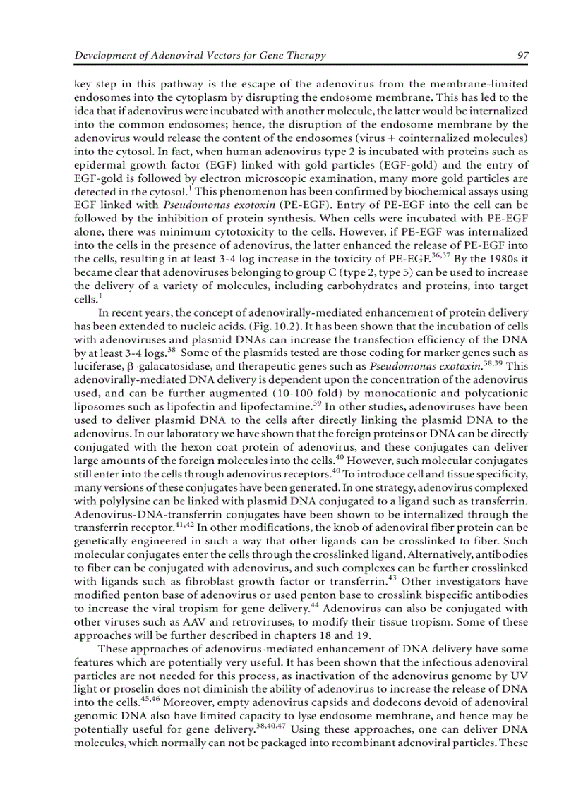 image for page Adenoviruses Basic Biology to Gene Therapy