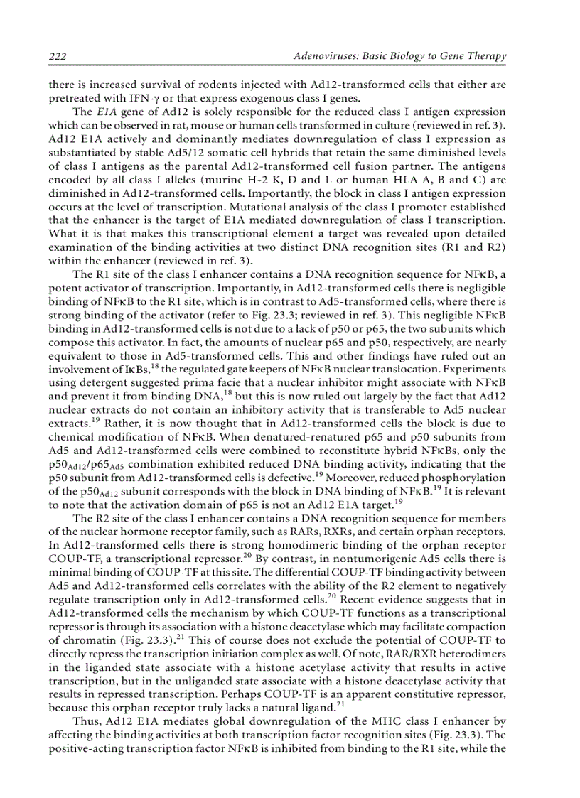 image for page Adenoviruses Basic Biology to Gene Therapy