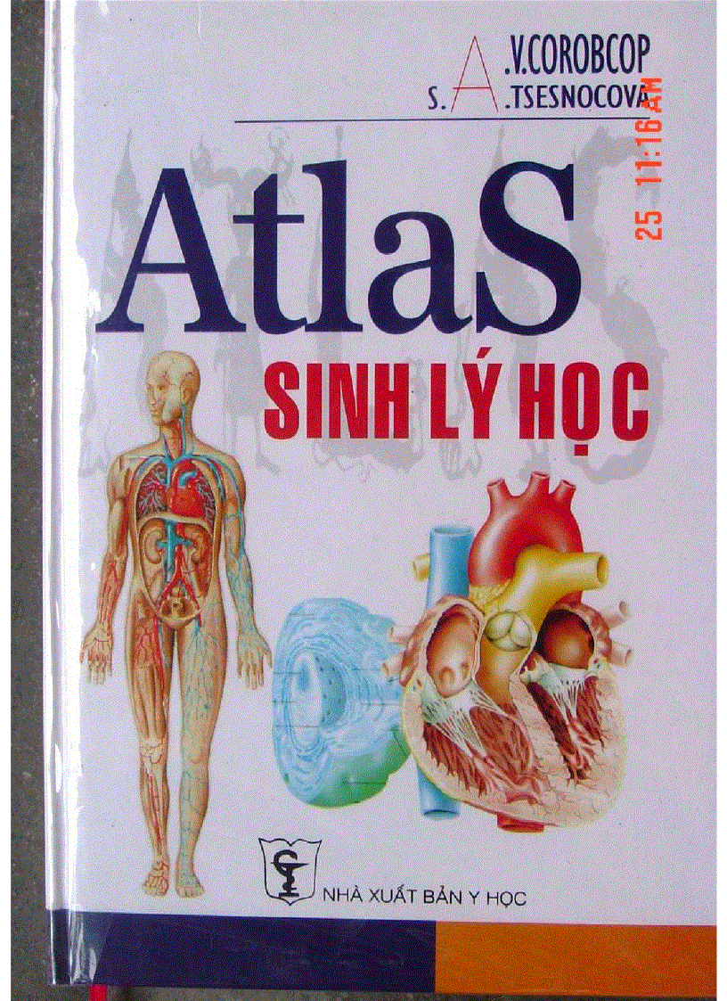 image for page Atlas Sinh Lý Học