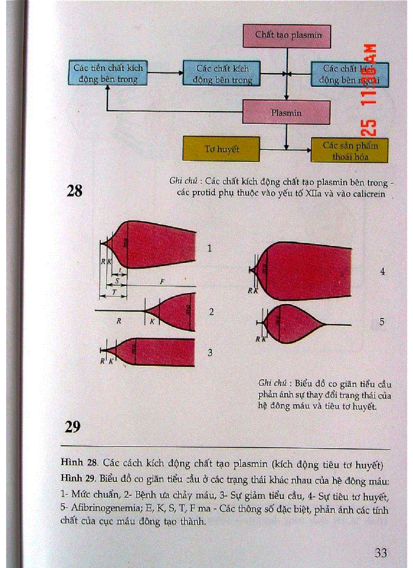 image for page Atlas Sinh Lý Học