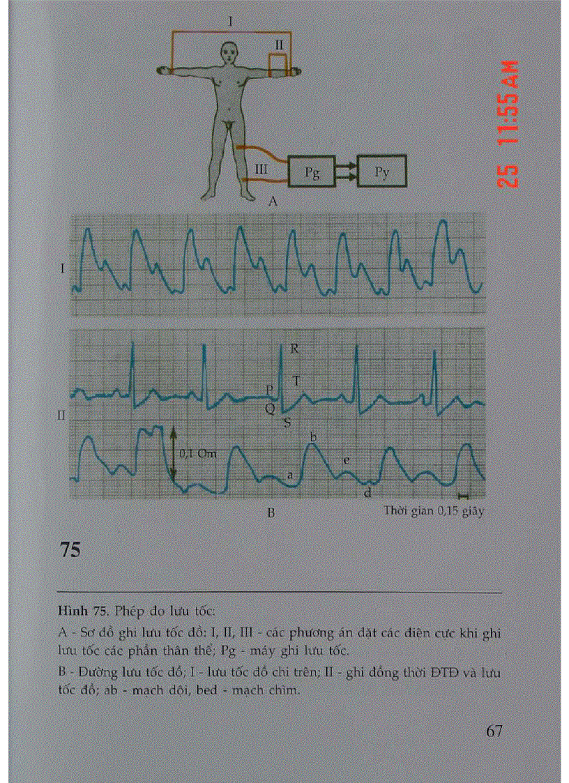 image for page Atlas Sinh Lý Học