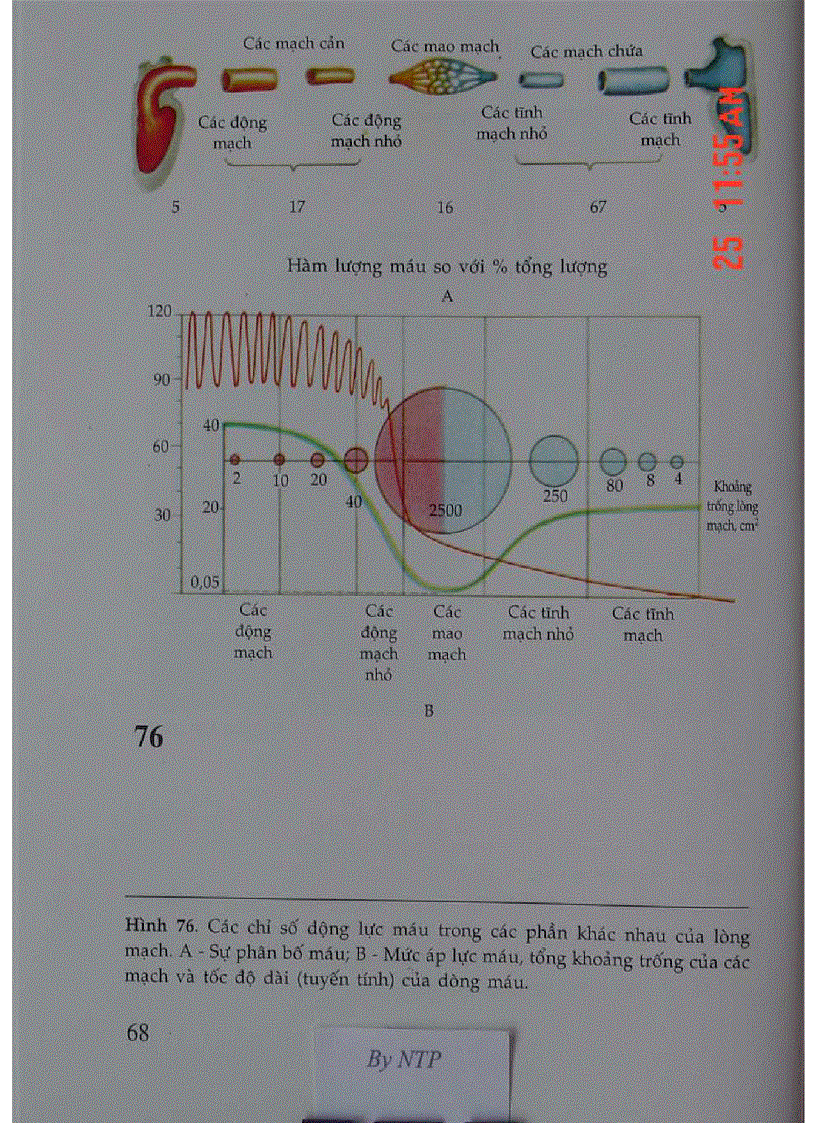 image for page Atlas Sinh Lý Học