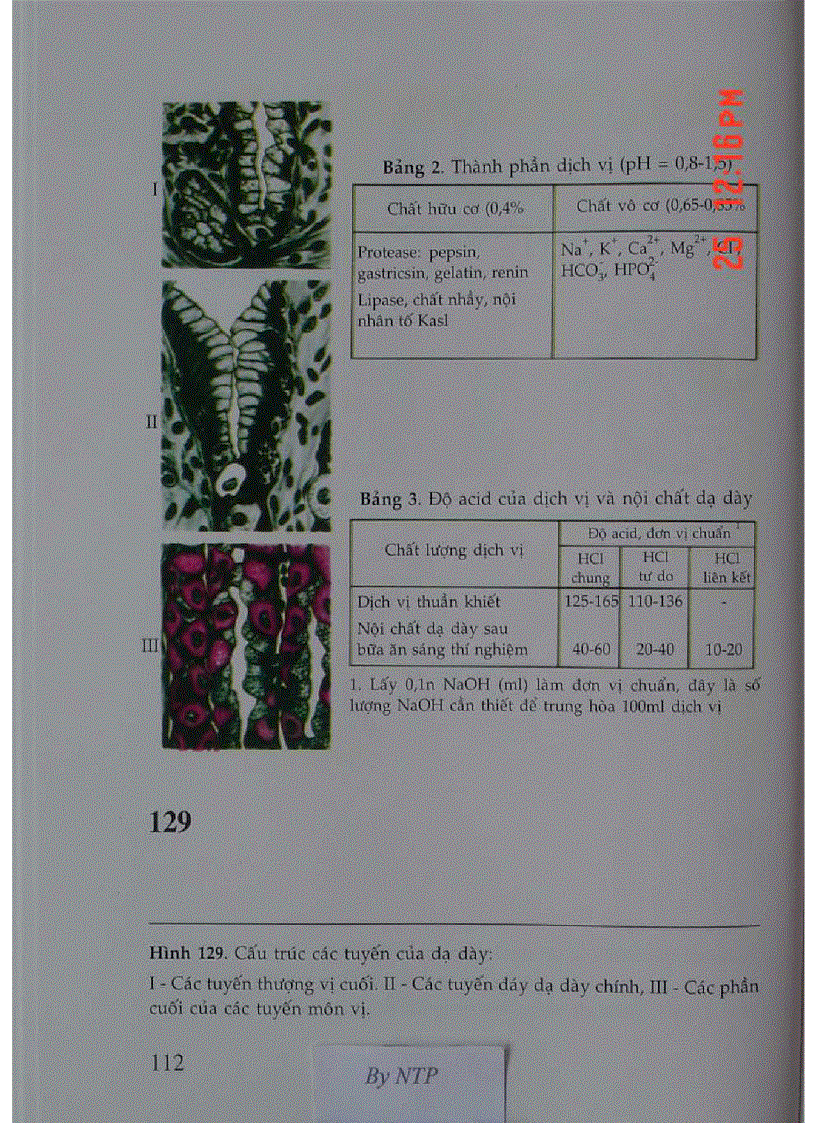 image for page Atlas Sinh Lý Học