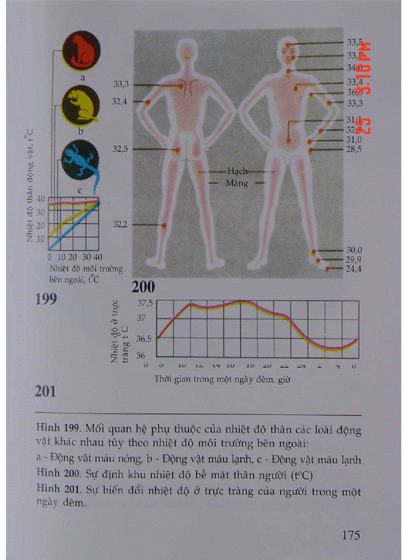 image for page Atlas Sinh Lý Học