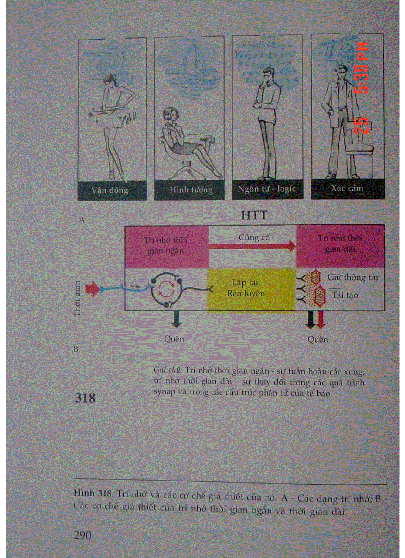 image for page Atlas Sinh Lý Học