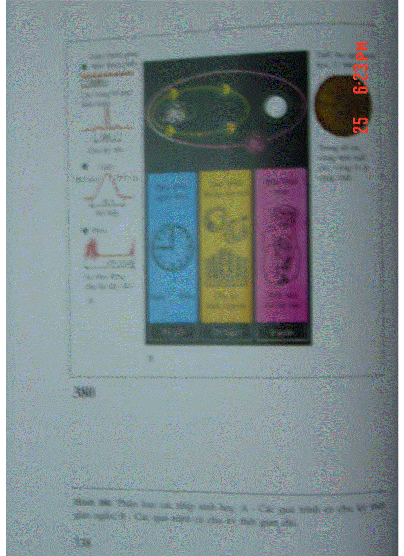 image for page Atlas Sinh Lý Học