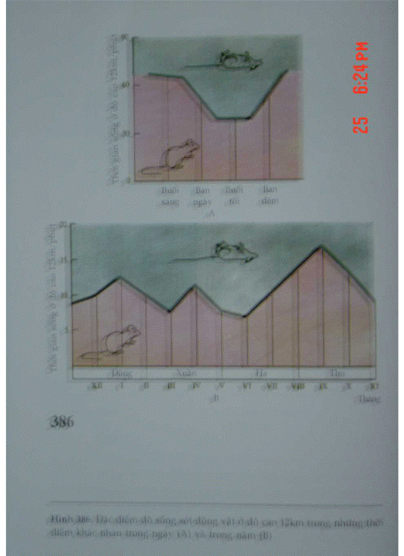 image for page Atlas Sinh Lý Học