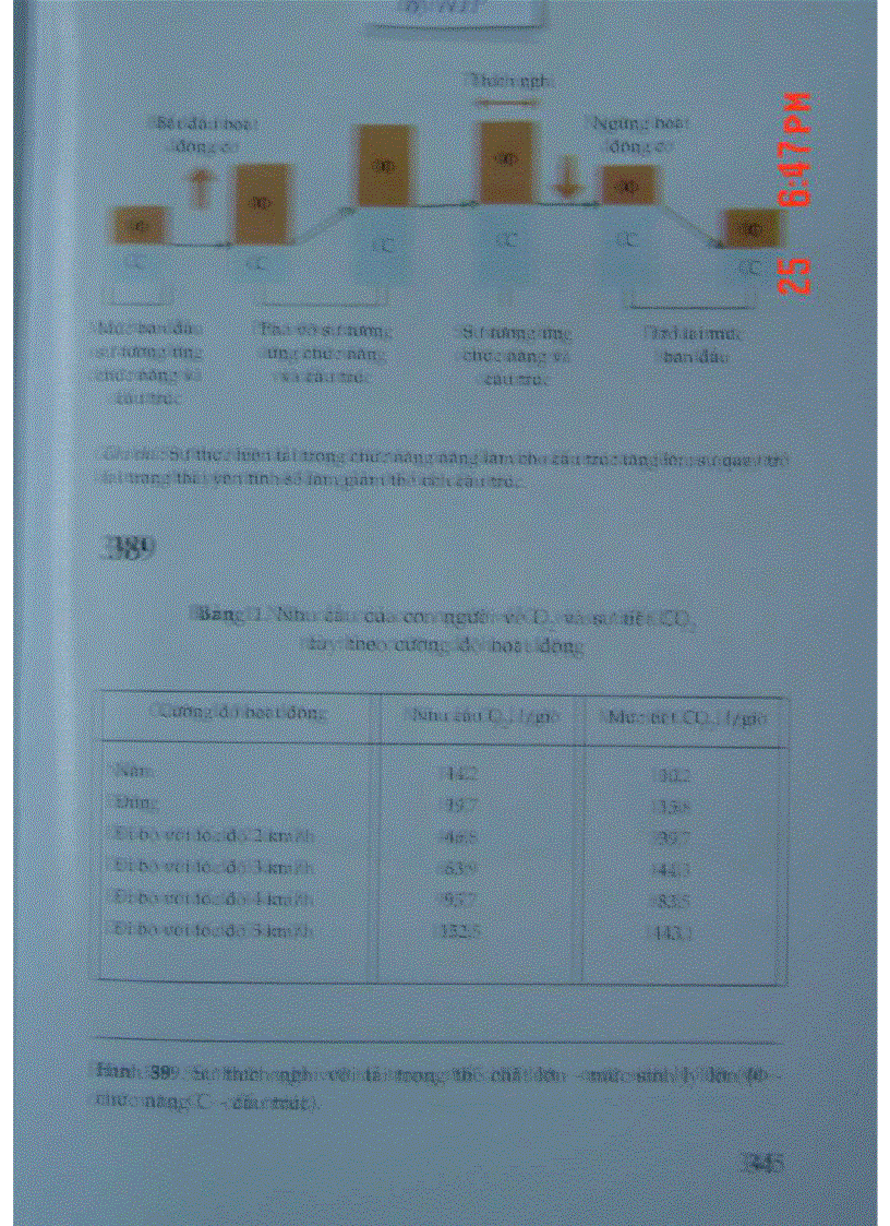 image for page Atlas Sinh Lý Học