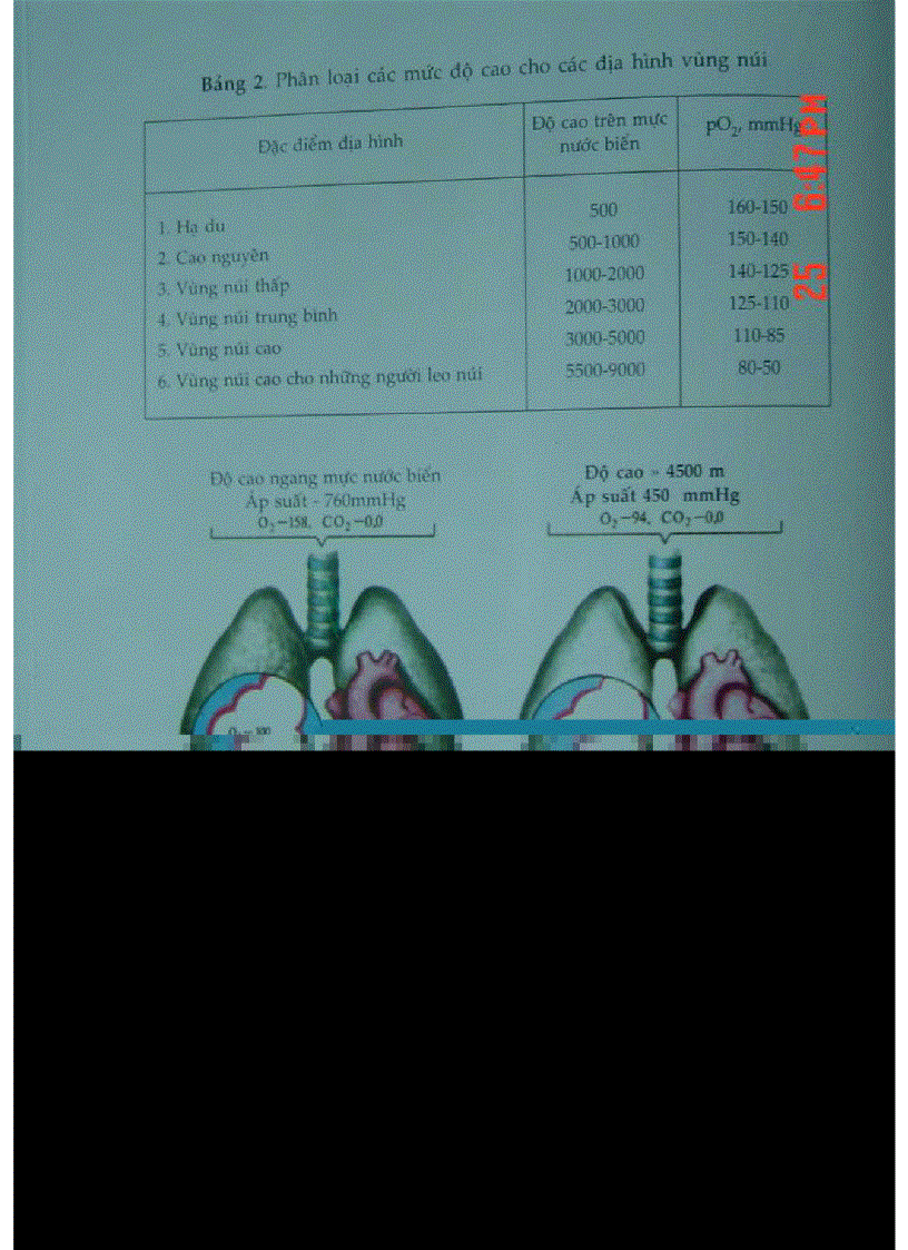 image for page Atlas Sinh Lý Học