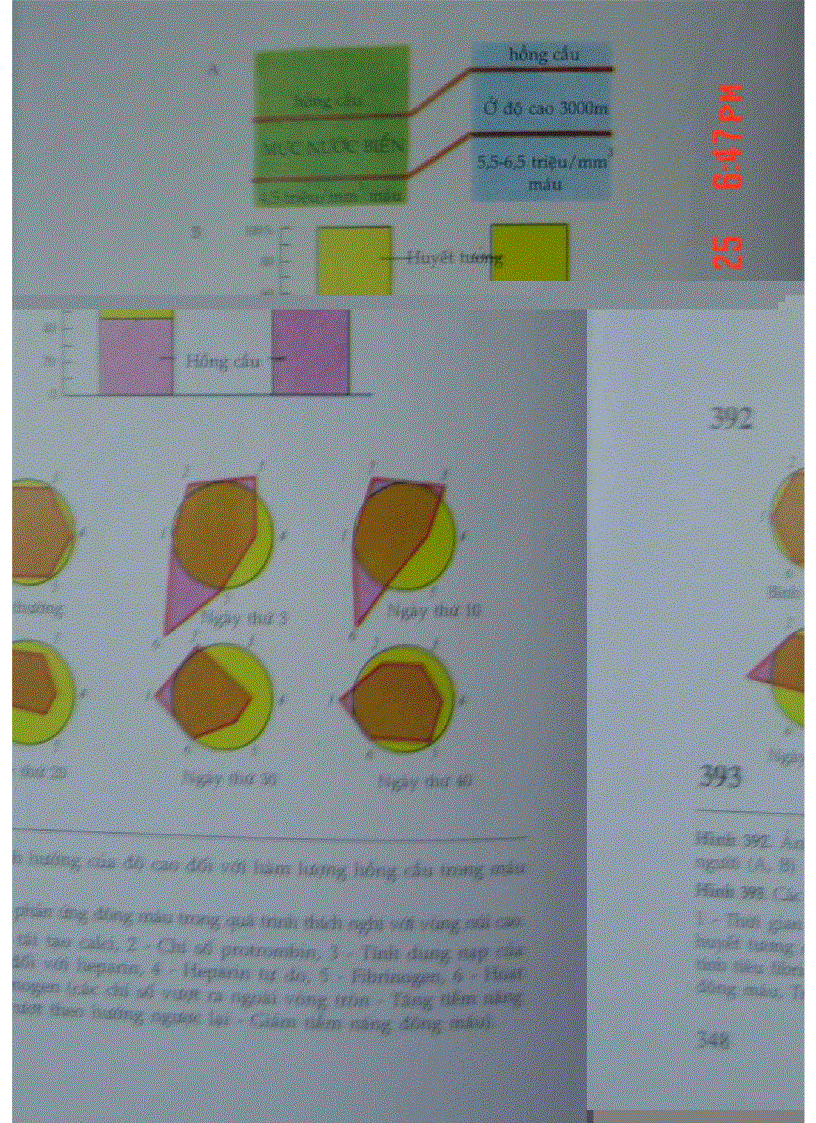 image for page Atlas Sinh Lý Học