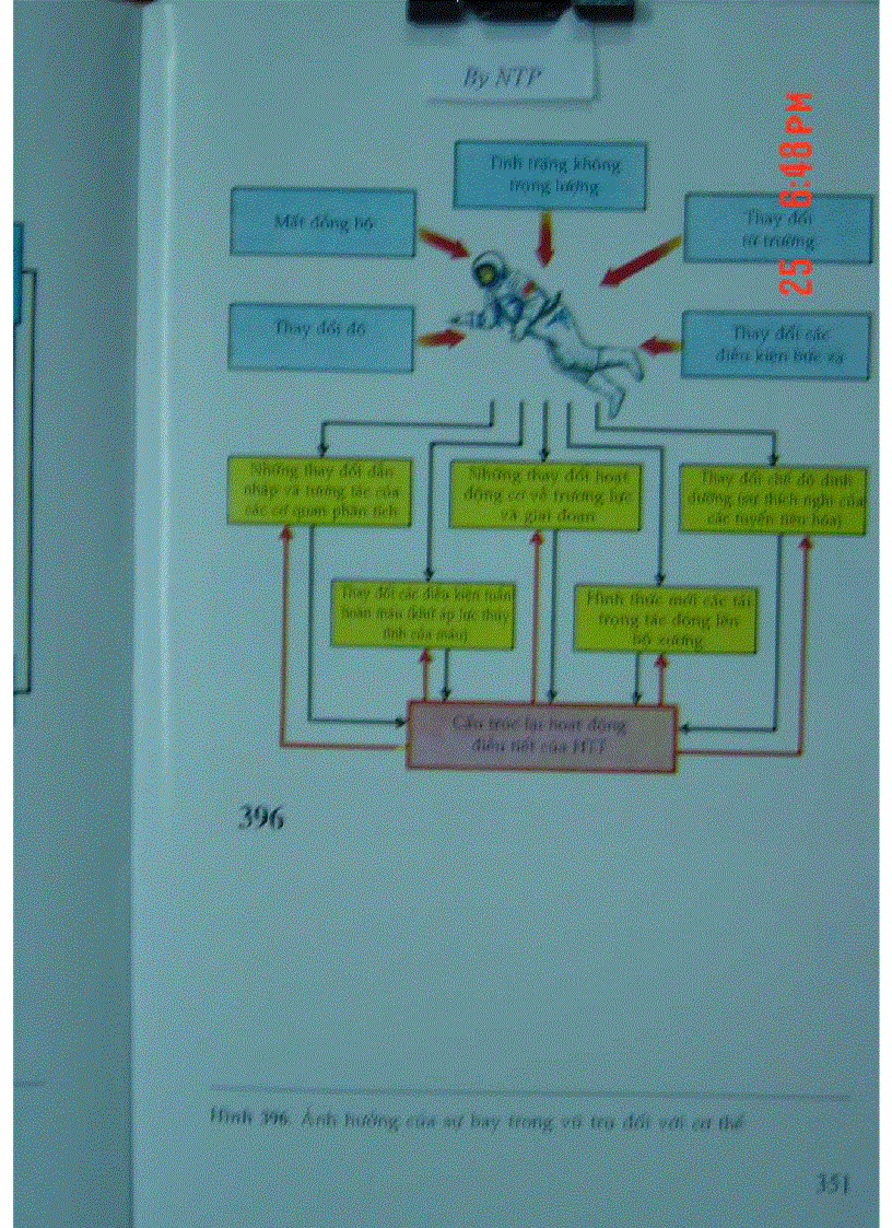 image for page Atlas Sinh Lý Học