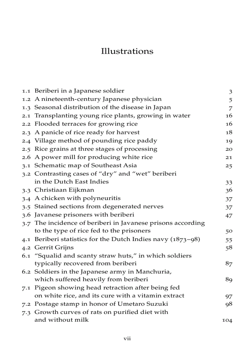 image for page Beriberi White Rice and Vitamin B