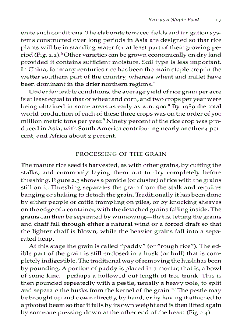 image for page Beriberi White Rice and Vitamin B