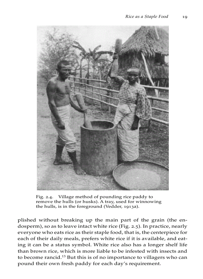 image for page Beriberi White Rice and Vitamin B