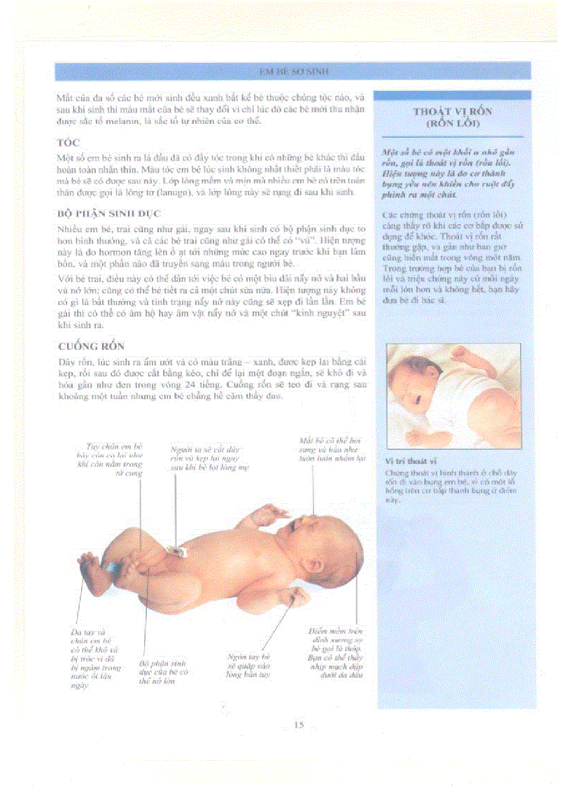 image for page Chăm sóc và nuôi dạy con toàn tập