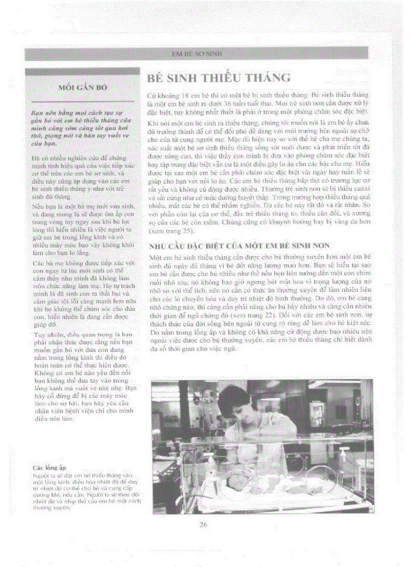 image for page Chăm sóc và nuôi dạy con toàn tập