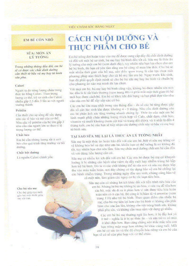 image for page Chăm sóc và nuôi dạy con toàn tập