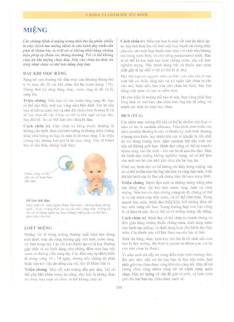 image for page Chăm sóc và nuôi dạy con toàn tập