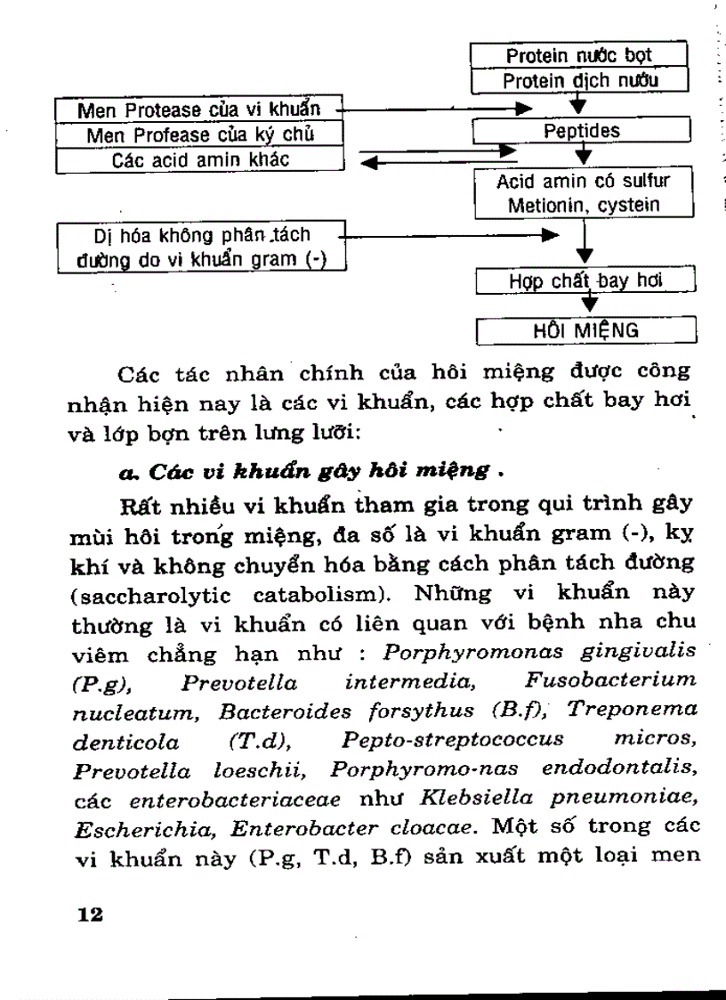 image for page Chuyên đề Bệnh Răng